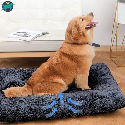 coussin-pour-chien-respirant