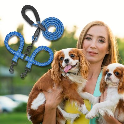 double-laisse-pour-chien-bleu-taille-moyenne