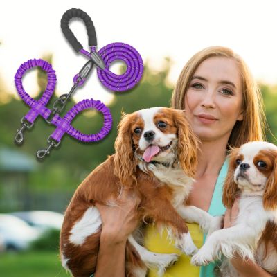 double-laisse-pour-chien-mauve-taille-moyenne