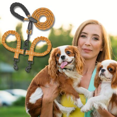 double-laisse-pour-chien-orange-taille-moyenne