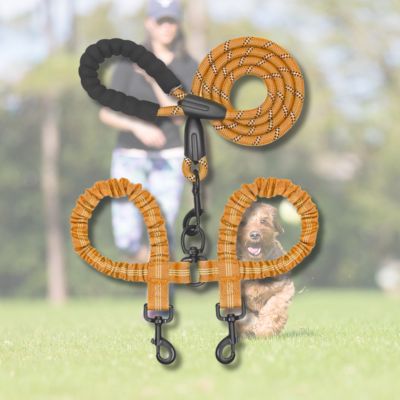 double-laisse-pour-chien-orange