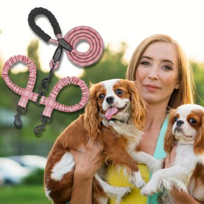 double-laisse-pour-chien-rose-taille-moyenne