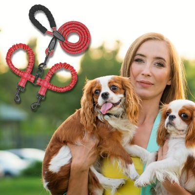 double-laisse-pour-chien-rouge-taille-moyenne