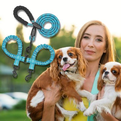 double-laisse-pour-chien-turquoise-taille-moyenne