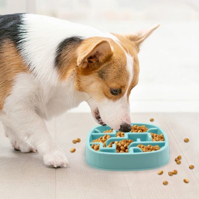gamelle-anti-glouton-chien-anti-renversement-carre-chien-moyen