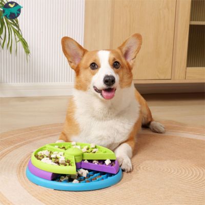 gamelle anti glouton chien moyen