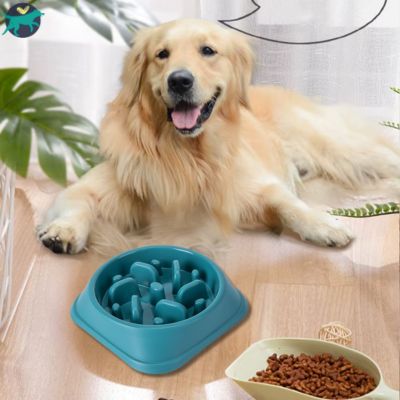 gamelle-anti-glouton-chien-moyen_