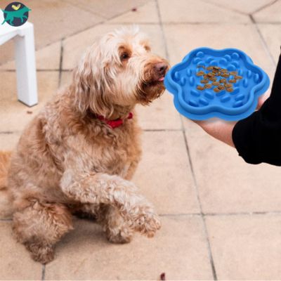 gamelle-anti-glouton-chien