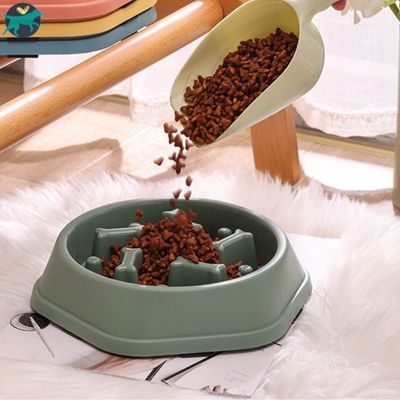 Gamelle anti  glouton | DigestEase™