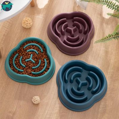 gamelle anti glouton chien_