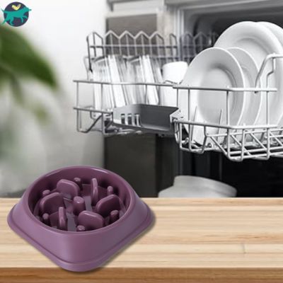 gamelle-anti-glouton-pour-chien