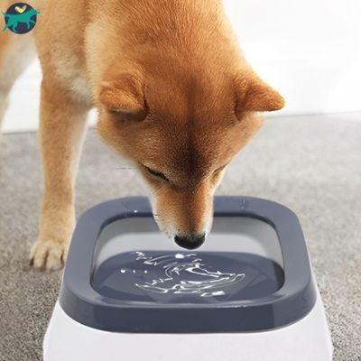 gamelle-chien-anti-debordemant_2