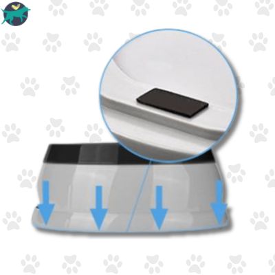gamelle chien  anti derapante