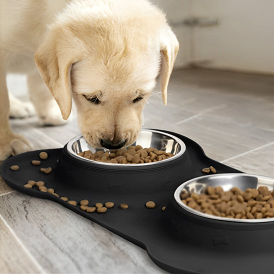 gamelle-chien-double-antiderapante-bol-acier-inoxydable-chiot