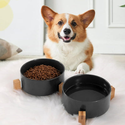 gamelle-chien-double-ceramique-chien-moyen