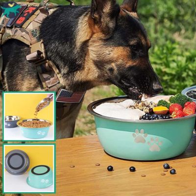 gamelle-chien-grande