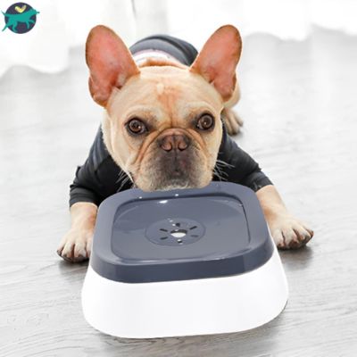 gamelle-chien-moyen_c185f728-e997-4ca4-9119-d2511623d5ea