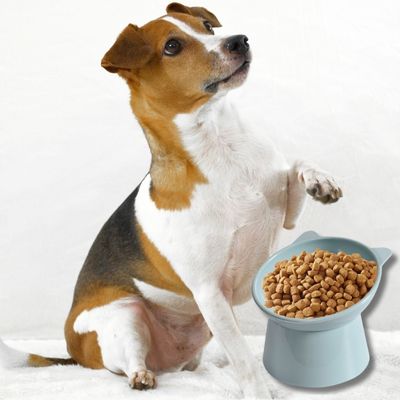 Gamelle chien | SlurpSafe™