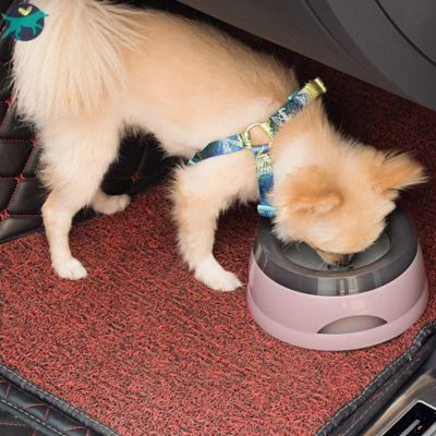 gamelle chien rose