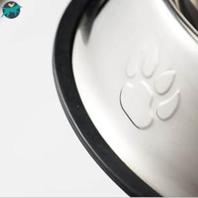 gamelle chien simple