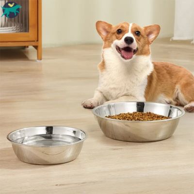 gamelle chien simple