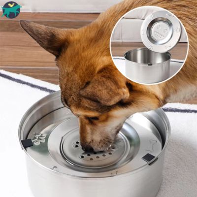 gamelle-chien-solide_2ae496d1-ea55-45ec-b280-ab0706382e66