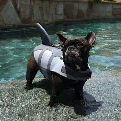 gilet-de-sauvetage-chien-gris-requin