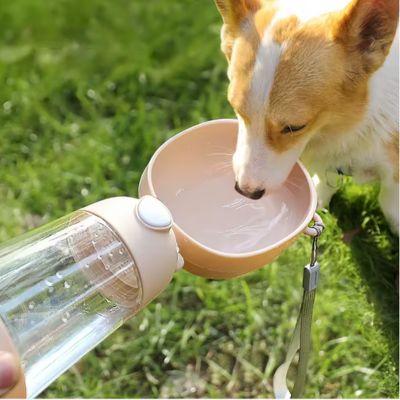 gourde-chien-grande-tasse