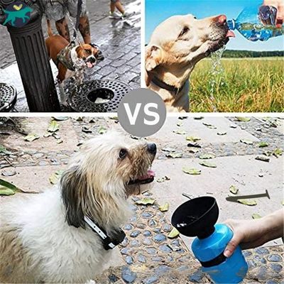 ggourde-pour-chien-avec-bol_3995c215-b9cd-4eda-833e-933f006f8fb7