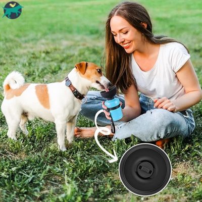 gourde-pour-chien-etanche_16db11b9-bc41-48e5-992e-6ec8e6b36153