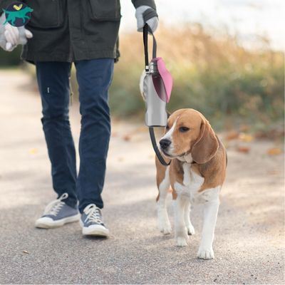 gourde-pour-chien-rose