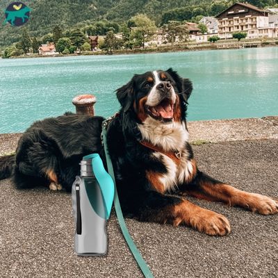 Gourde pour chien | Hydrate-Max™