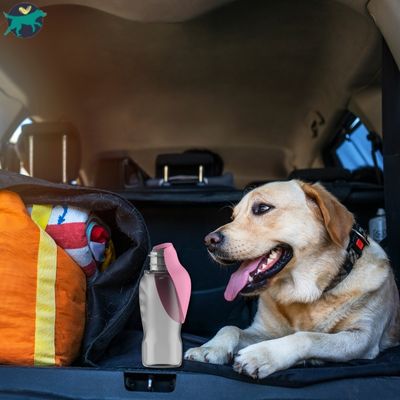 gourde-pour-chien-voiture