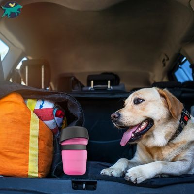 gourde-pour-chine-rose