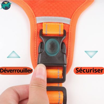 harnais-anti-traction-chien-pratique