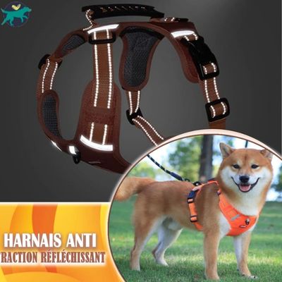harnais-anti-traction-chien-reflechissant_963786de-df81-4754-b06e-8b544ce27e8c