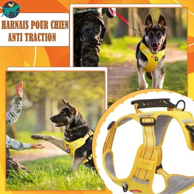 harnais-anti-traction-chien-solide