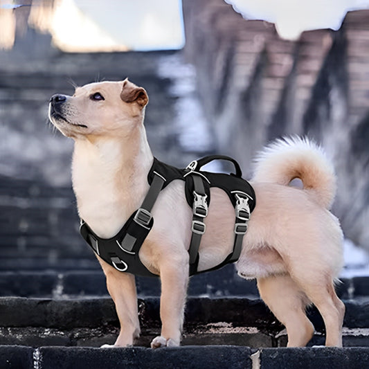 harnais-anti-traction-chien-trois-sangles-noir