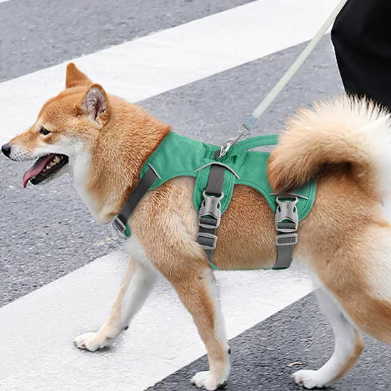 Harnais Anti-traction Puppytie XS Pour Chien 2-5kg Avec Laisse Multifonction - Motif écossais Vert, Doux Et Réglable