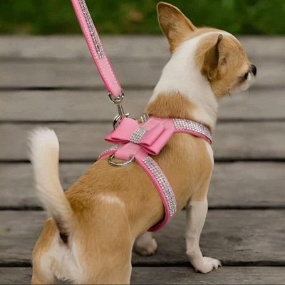 harnais-chien-brillant-rose