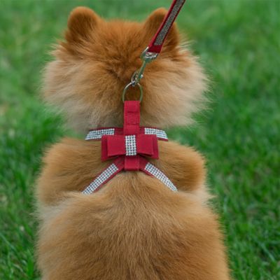 harnais-chien-brillant-rouge