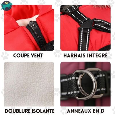 harnais-chien-durable