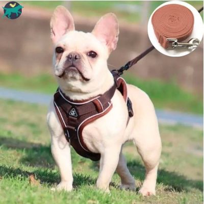 harnais-chien-marron