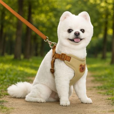 harnais-chien-petite-taille-beige