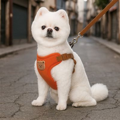 harnais-chien-petite-taille-orange