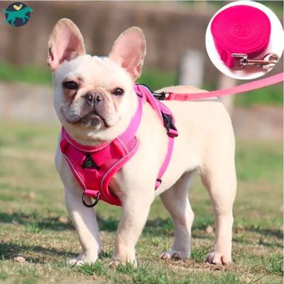 harnais-chien-rose