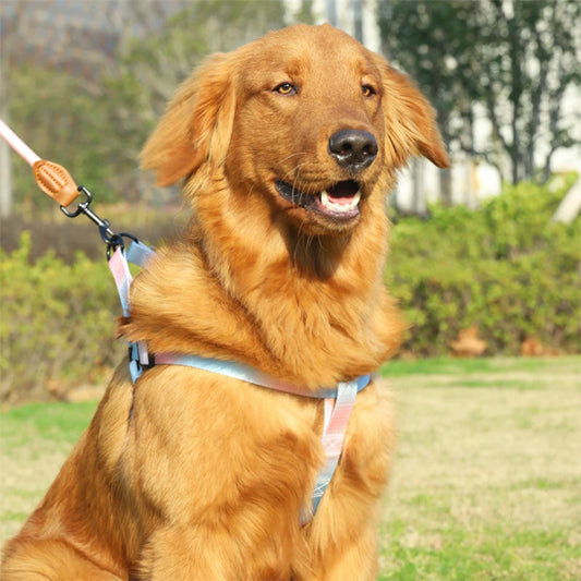 harnais-pour-chien-sangle-avec-laisse-grand-chien