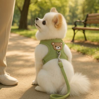 harnais-pour-petit-chien-avec-laisse-vert