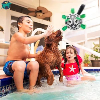 jouet-pour-chien-aquatique