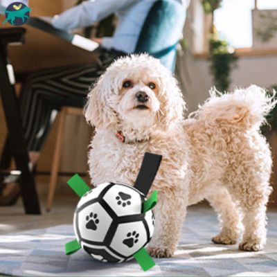 jouet-pour-chien-ballon